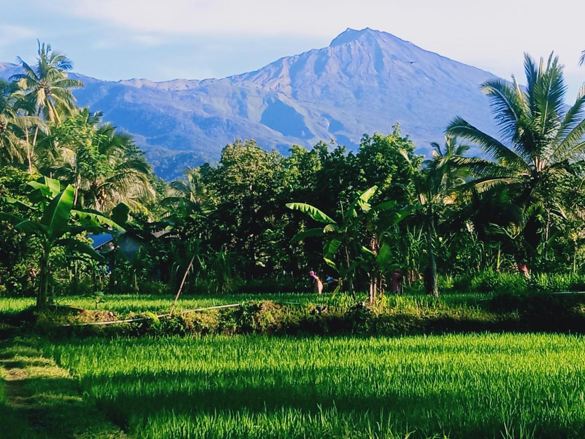 Coconut Homestay 테테바투 외부 사진