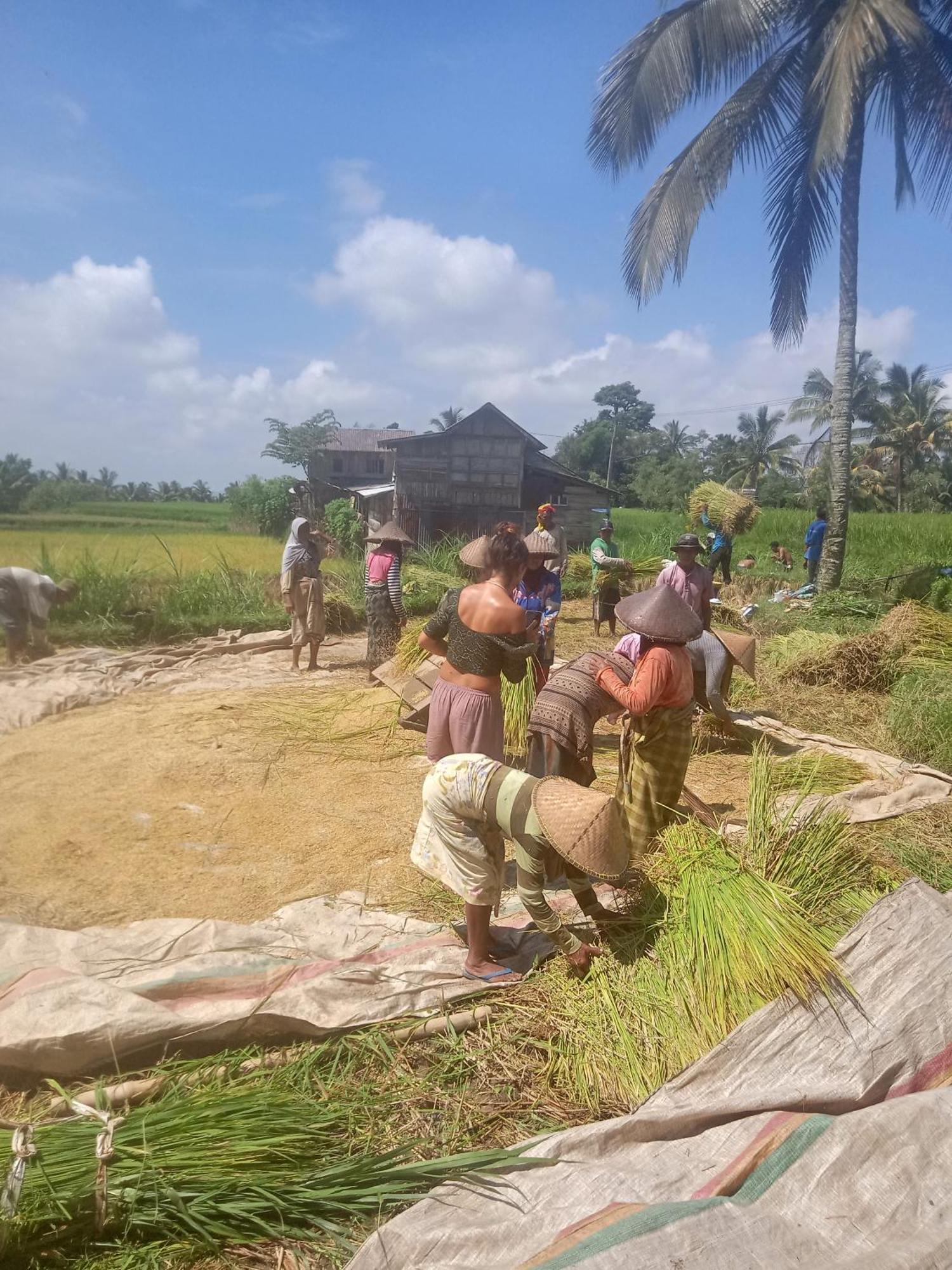 Coconut Homestay 테테바투 외부 사진