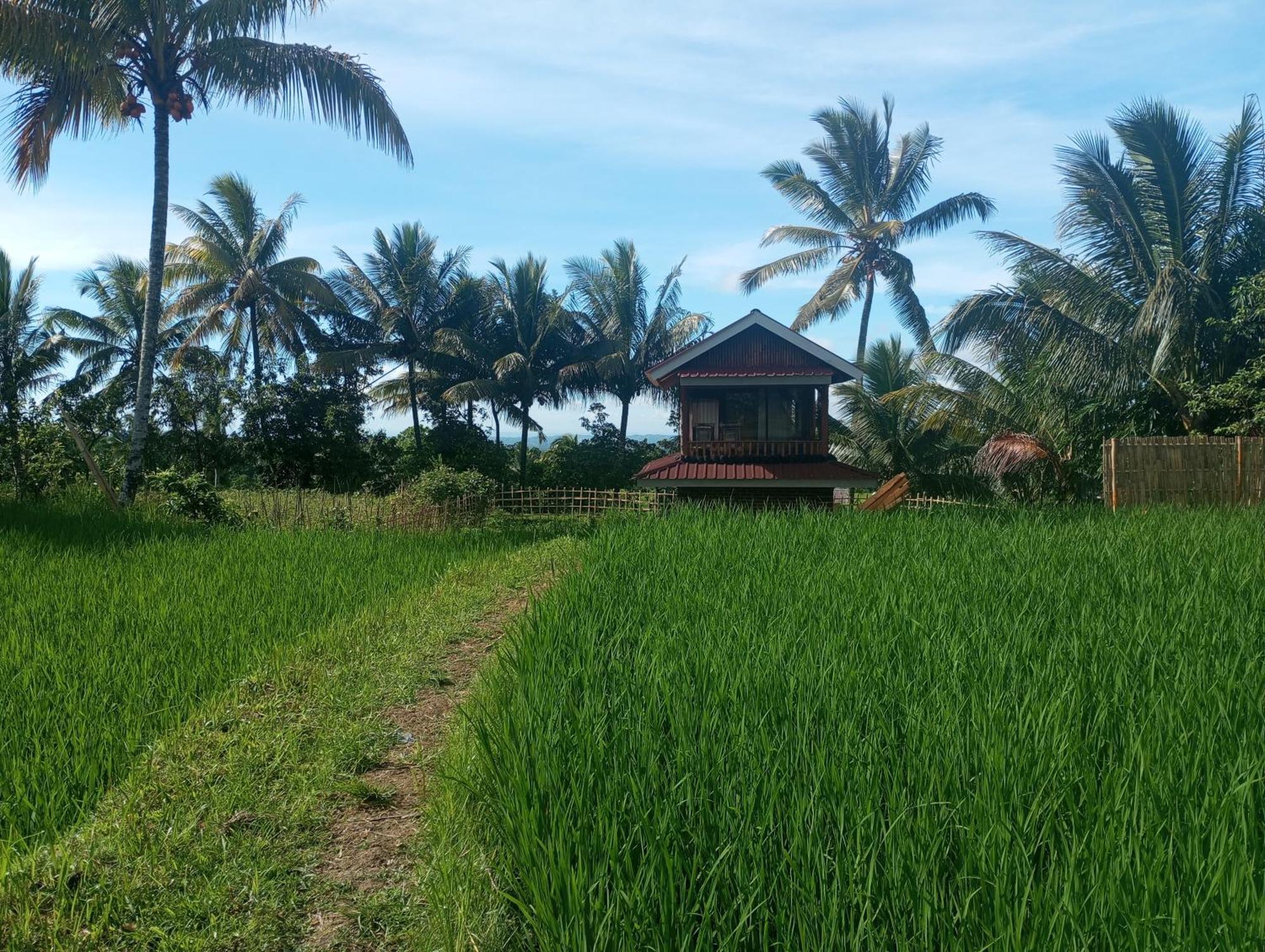 Coconut Homestay 테테바투 외부 사진