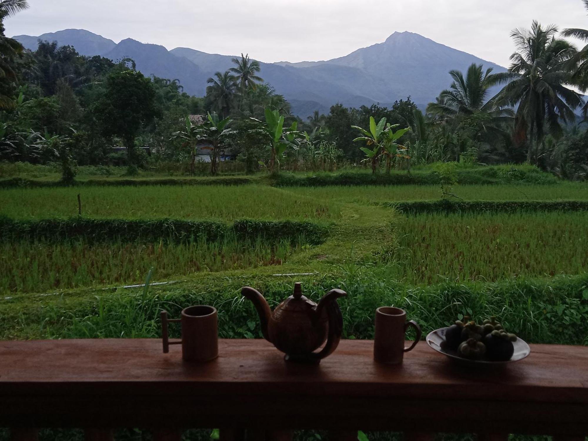 Coconut Homestay 테테바투 외부 사진